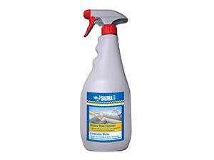 Schimmelpilzentferner Spray 750ml